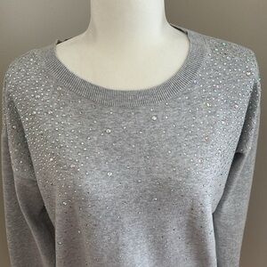 Express Sparkly Sweater